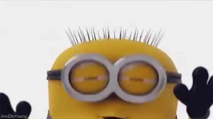 Leia o perfil, meus minions