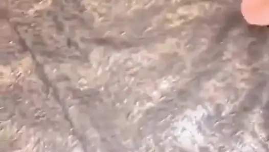 Bir plan üçe dönüşüyor, sözler beklenmedik bir geceye yol açıyor 1.