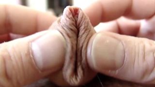 Flaccid Hairy Uncut Cock F828