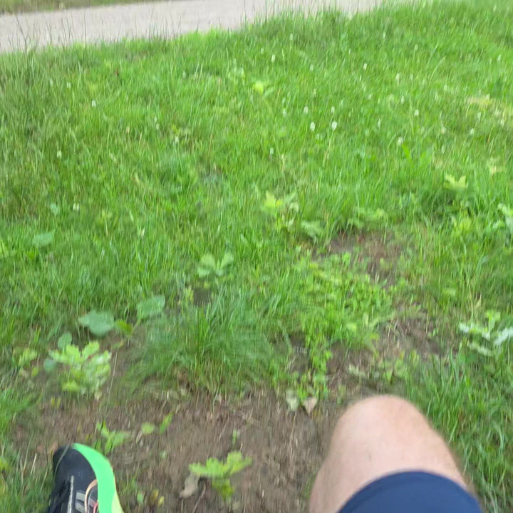 Sitting on couch with my hardening cock outside