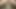 Huge load hands free cum dildo