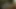 Dogtooth - kynodontas (2009) 009 michele vadisi