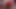 2545Eo_I - French Amateur, Clothed-Sex, Satin Lingerie, Rimming, Blowjob, Cumshot