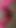 Pembe kadın kılıklı
