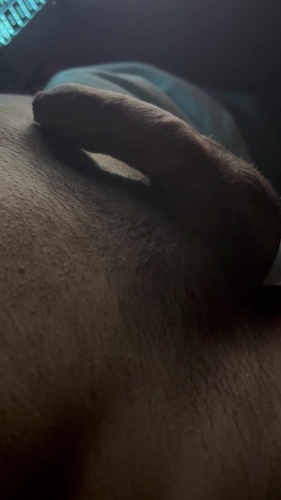 Dick dick play