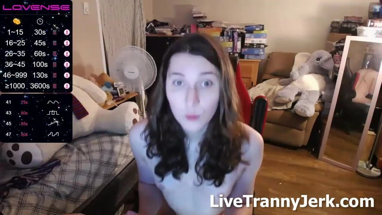 moebear shemale webcam