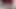 Masturbating in front of tv seeing a beautiful ass
