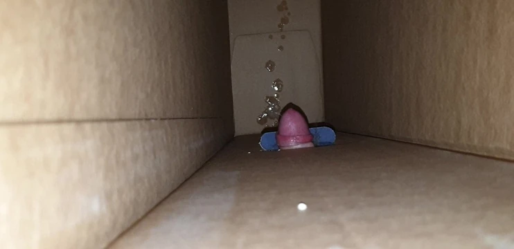 Fuck my tv box