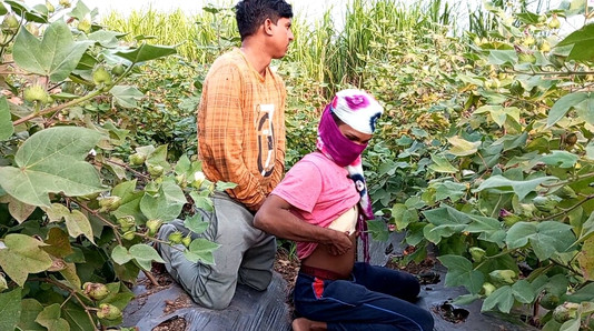 Indische shemale-films - Pooja shemale Bhabhi Cotton Farming komt en grote leeftijd vriend kontliefhebber - Desi neuken - Hindi-stem