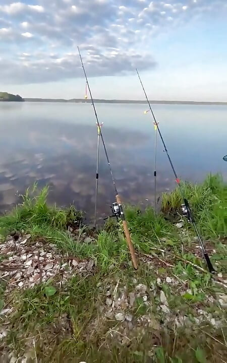 私は釣りをしてしまう