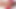 Dude enjoys pleasing shemale Juliana Nogueira shedick a
