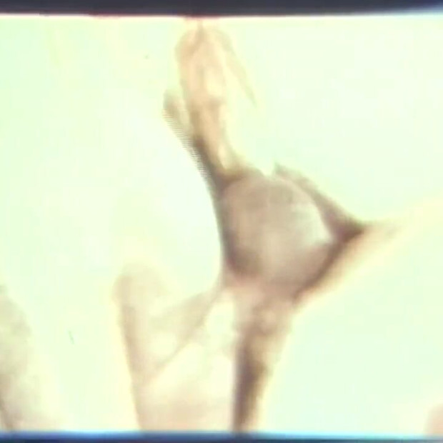 पोर्न की कथा - "यूएसए 1969, शुरुआत - दृश्य 43"