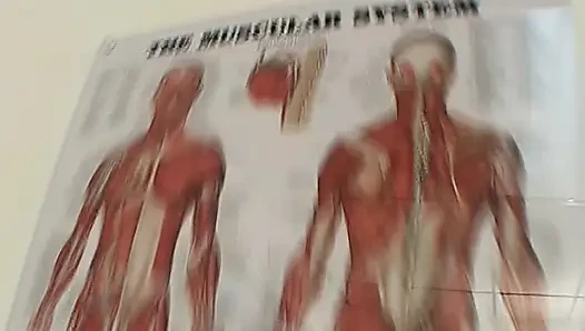 Тройничок с доктором