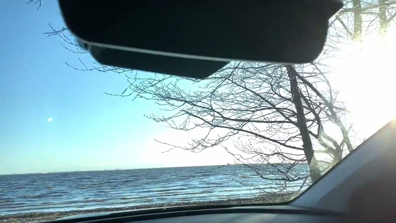 Erking off in the Car and Cumming – Uncut Cock,CoveredAddition299