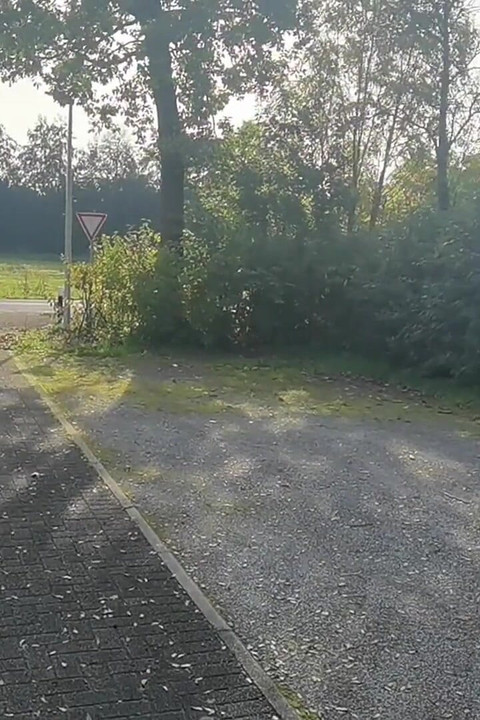 消防士インターンが犯される