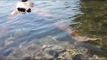 Plutajući kurac