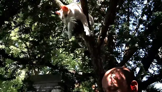 Casting istri amatir, ngentot dengan kontol lain