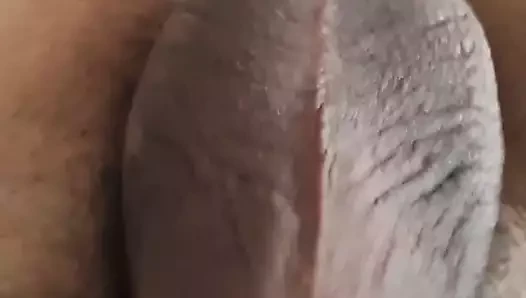 Kanepede tam toplar
