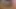 Dirtygardengirl Enormous Pink Dildo in Her Anal Hole & Prolapse