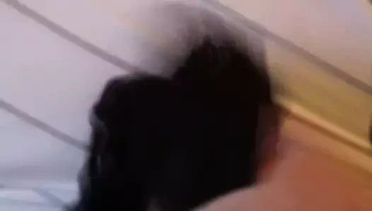Bir arkadaş için haraç.