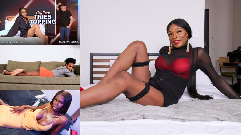 BLACK TGIRLS - Updates Compilation 2nd to 6th  Mar'26