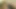 Wife Makes Her Cuckold Husband Lick and Clean Her Cheating Partner's Creampie Pussy and She Laughs.