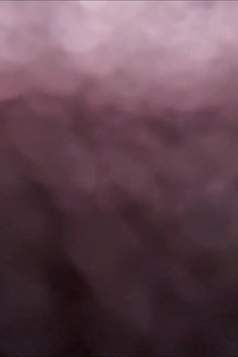 POV Face Sitting Farts