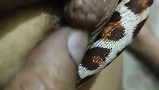 Bhabhi Ki Mast Jawani Sexy Brüste Chut Nipple