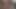 my dick