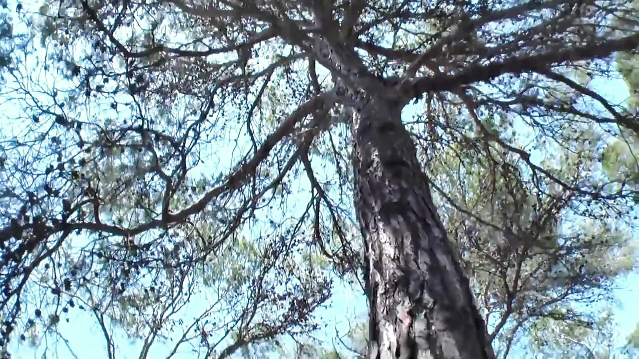 Jovencita de pelo teñido es recogida de la playa para una follada en el bosque