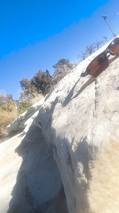 Zoey Portland fucks outdoor