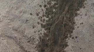 Pissen auf Sand