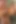 Ateşli hatun Megan Rain canlı sert sikişiyor ve emiyor