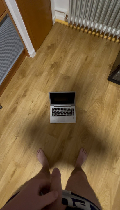 Urinated (piss) on the laptop after it fell on the ground