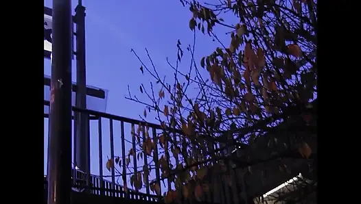 Lezbiyenler Birkaç Lanet Seansta