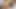 私のヒジャブを着た継母のフェラチオと継息子にセックスされた