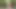 Little goblin finds a girl lost in the woods and instead of helping her out he gives her a delicious fuck in the middle of the river.