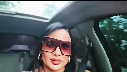 Anhalter mit einem ungezogenen Stiefsohn
