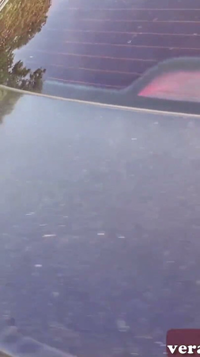 Skinny german teen slut public pick up pov erocom date | Clip 1