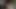 Karva Chauth sex video part 2