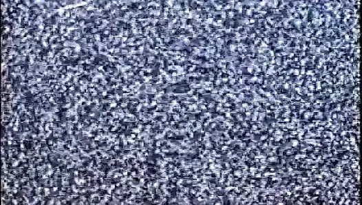 Wives Home Alone: Wife #155