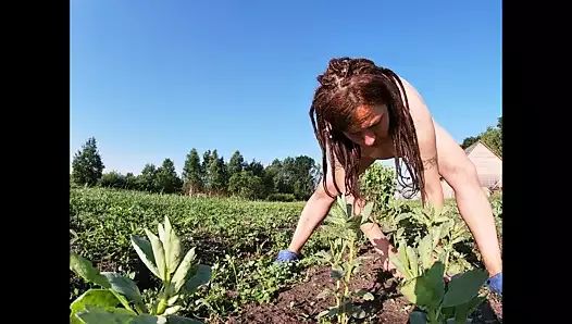 La femme d'un fermier se masturbe dans le champ