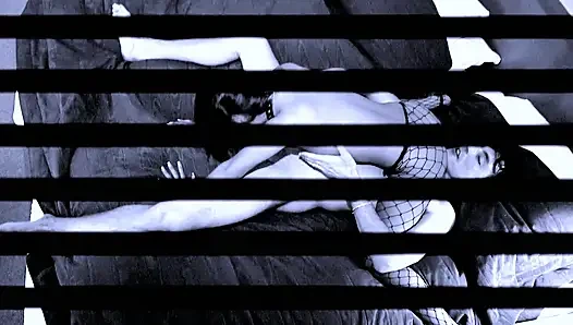 Horny German Sex Porn Stars Compilation - Horny Women Suck the Cock Nice and Empty!