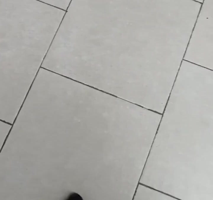 Do You Like It When I Suck Your Cock While I Work?