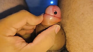 swelled penis or pumped penis