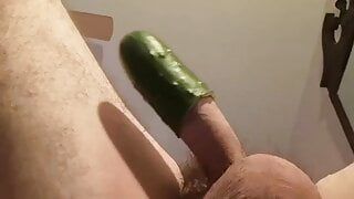 Trainingen met komkommer