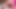 ニーナはペニスを共有するのが好きです!
