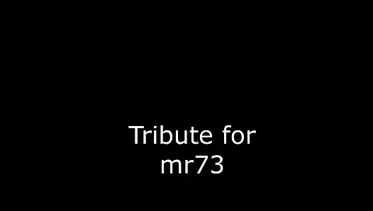 mr73 için haraç