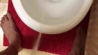 Pissing in the loo