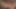 Penelope reed solo masturbation